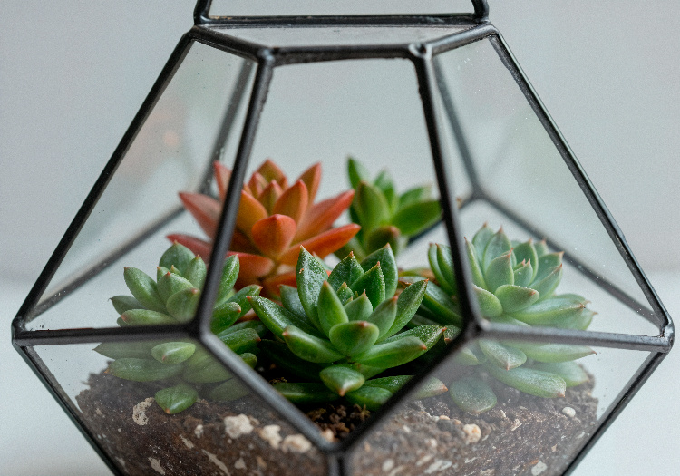    Фото: ru.freepik.com