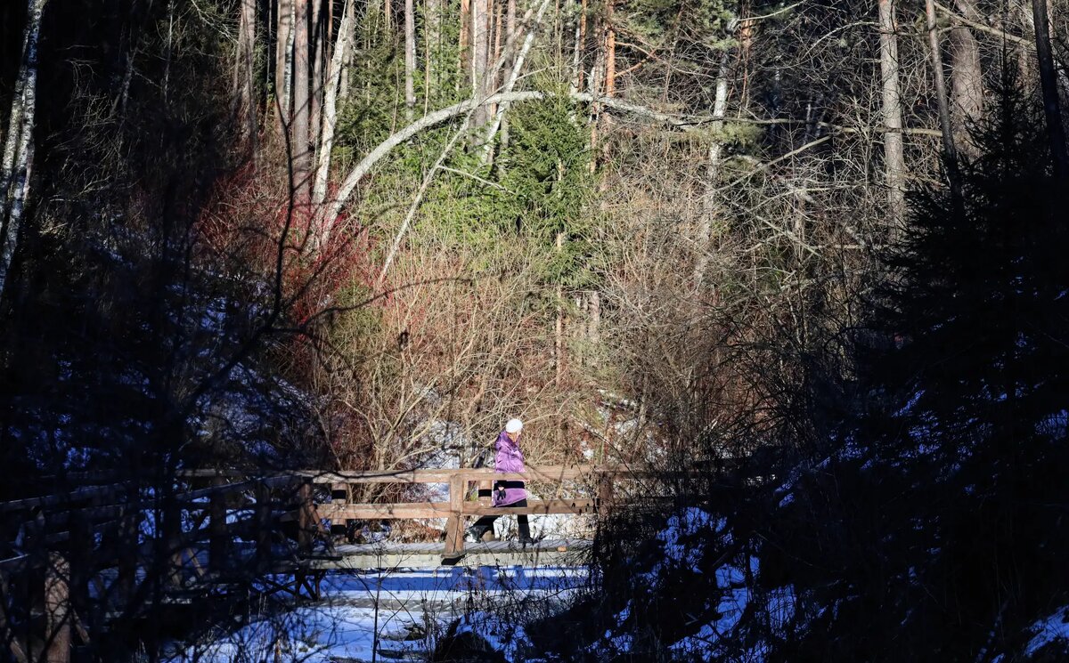     © РИА Новости. Илья Наймушин