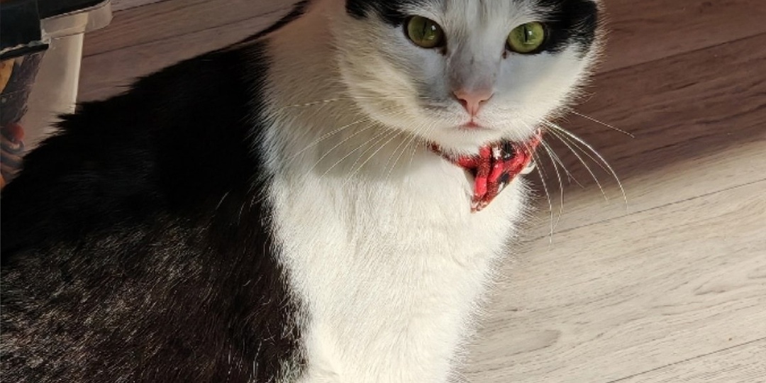 Я жажду любви и заботы