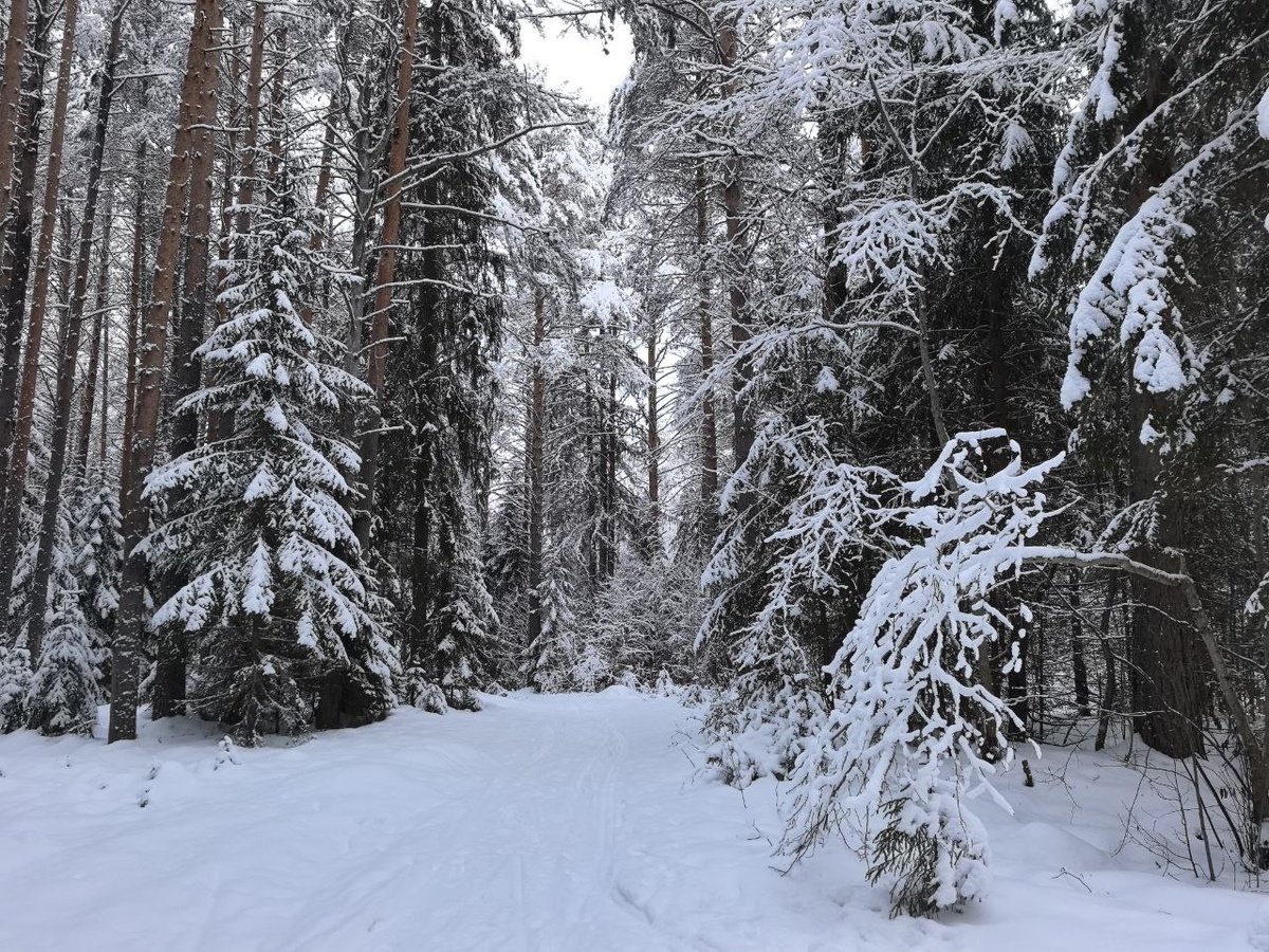 Суд разбирается в трагедии на охоте.  Фото: Фото: ФедералПресс / Ксения Кобалия