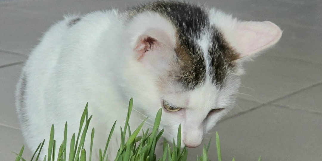 Ээээ, новенькая девочка, что-то у нас дефицит имен образовался