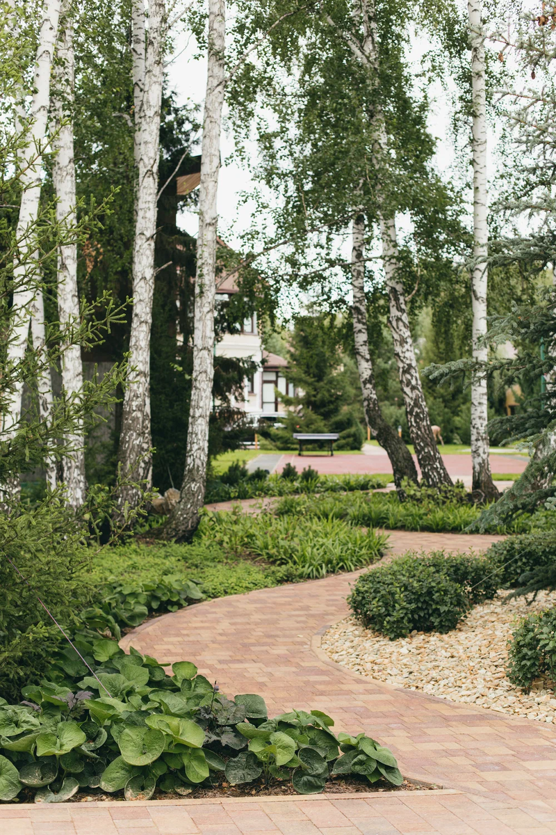 Как мы превратили 12 соток в Подмосковье в уютную усадьбу