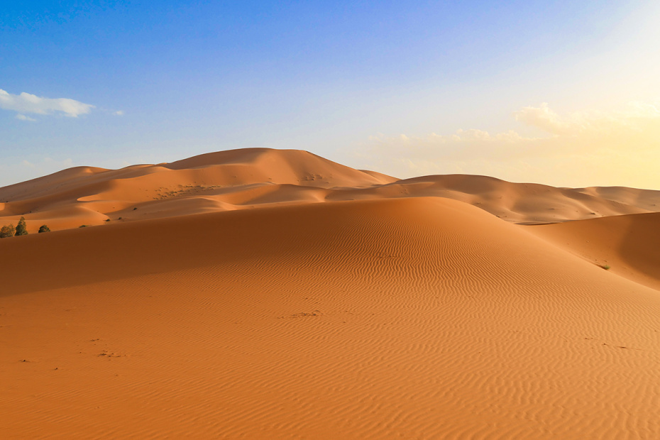    Shutterstock/FOTODOM