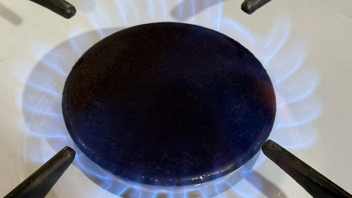    Фото: телеканал «Краснодар»