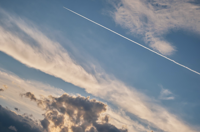    ededchechine / ru.freepik.com