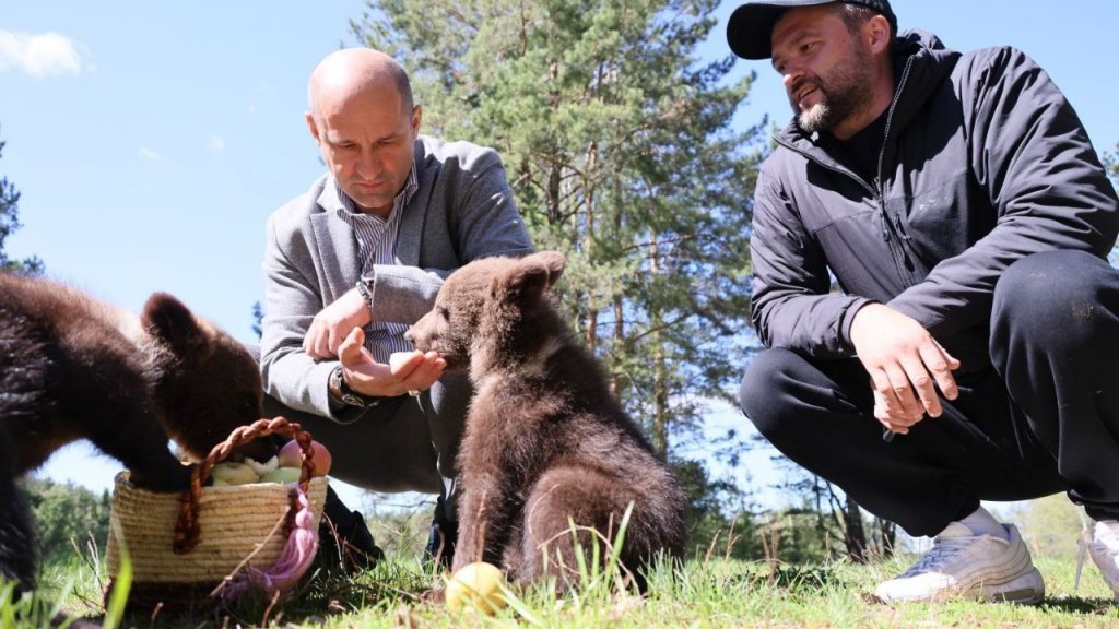    Полпред Артем Жога в центре «Альфа». Фото: телеграм-канал Артема Жоги