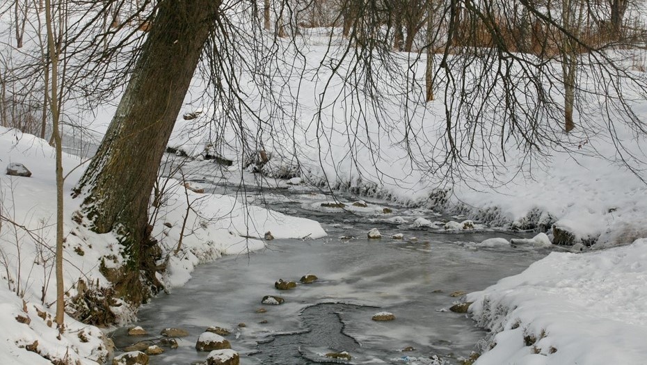    Автор фото: Trend/Вышинский Денис