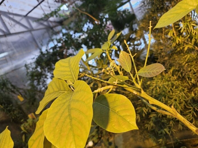    Заповедник «Вишерский»/VK