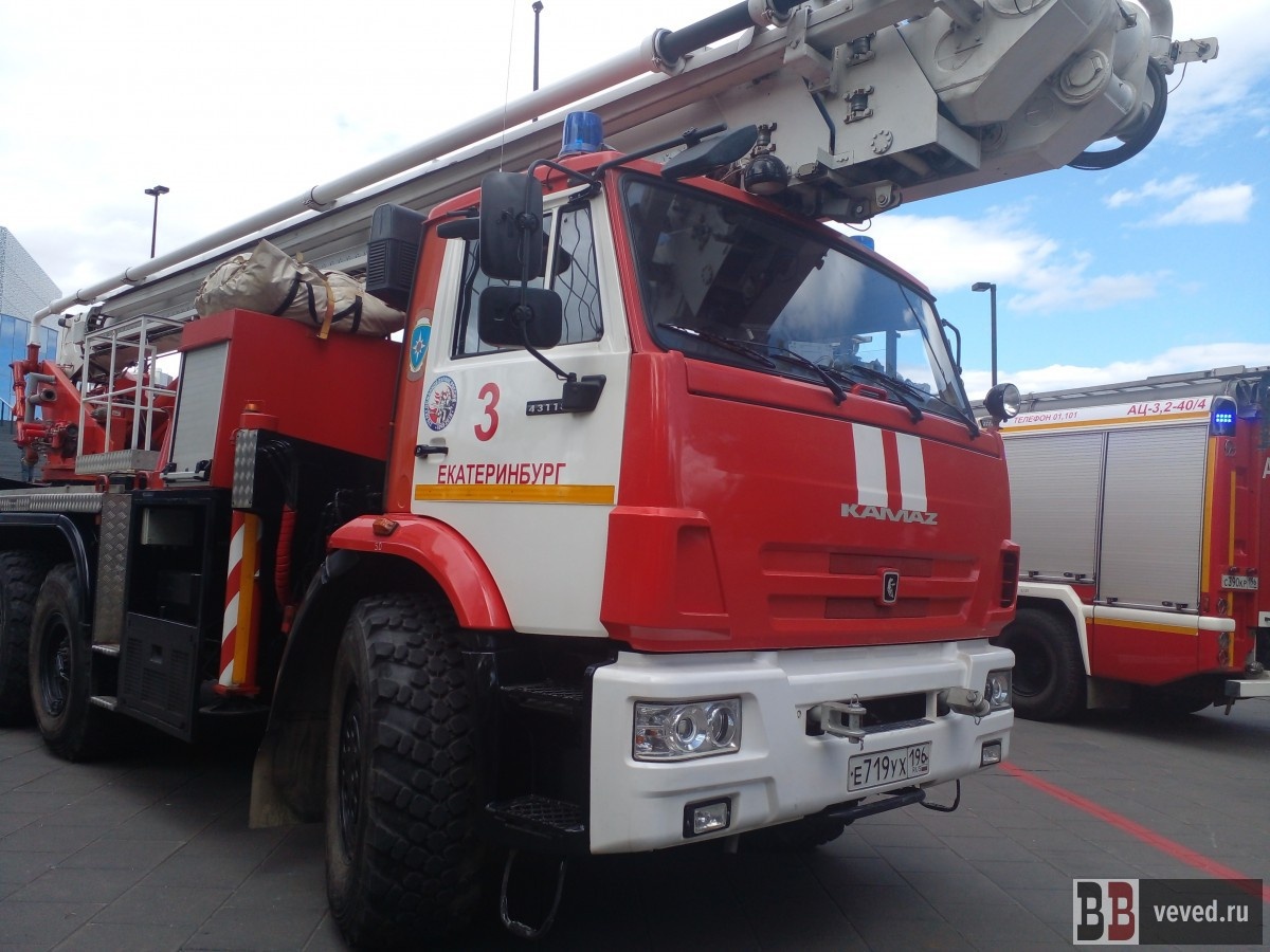     Фото: Юлия Медведева / Вечерние ведомости