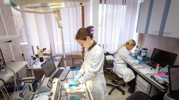    © Соцсети главы РК Сергея Аксенова