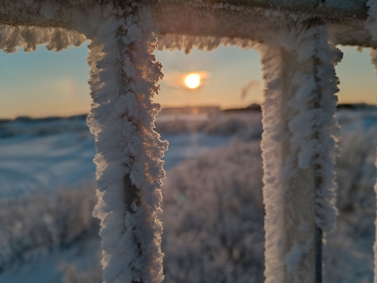Солнце над тундрой" (автор — Мария Казакова, финалист конкурса).