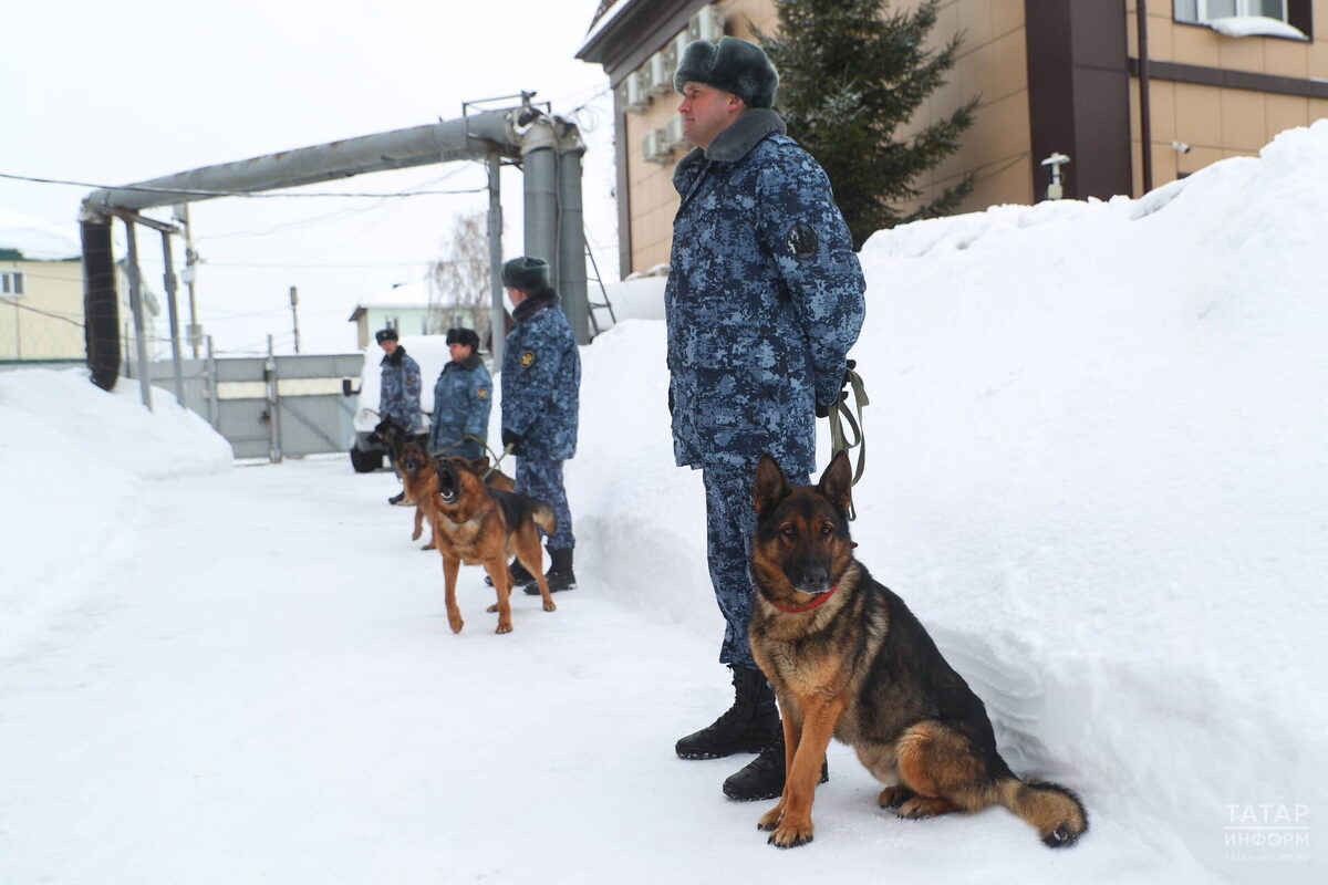Фото: © Михаил Захаров / «Татар-информ»