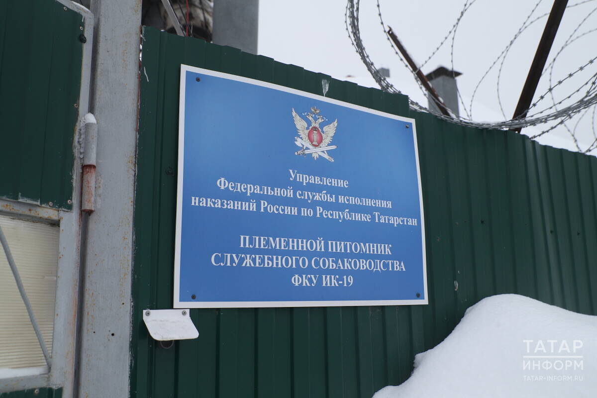 Фото: © Михаил Захаров / «Татар-информ»