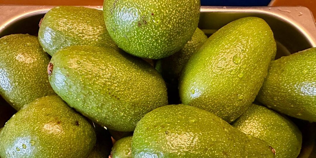 Нерафинированное сыродавленное масло авокадо