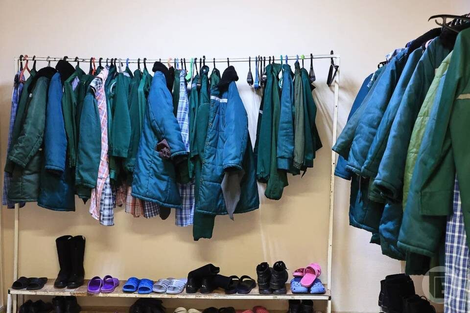    Фото: Дмитрий Рогулин/"Городские вести"