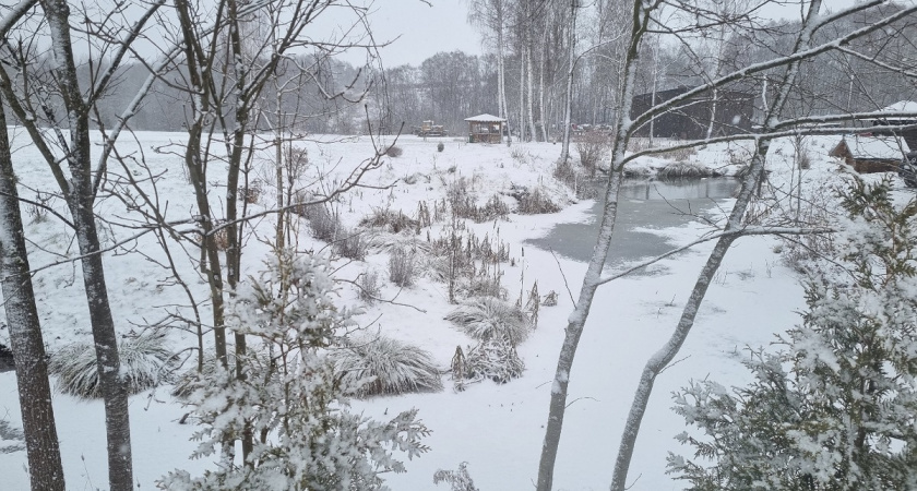    Фото Анастасии Дмитриевой