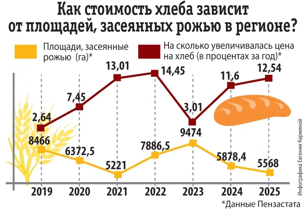    Фото: АиФ/ Евгения Каржина