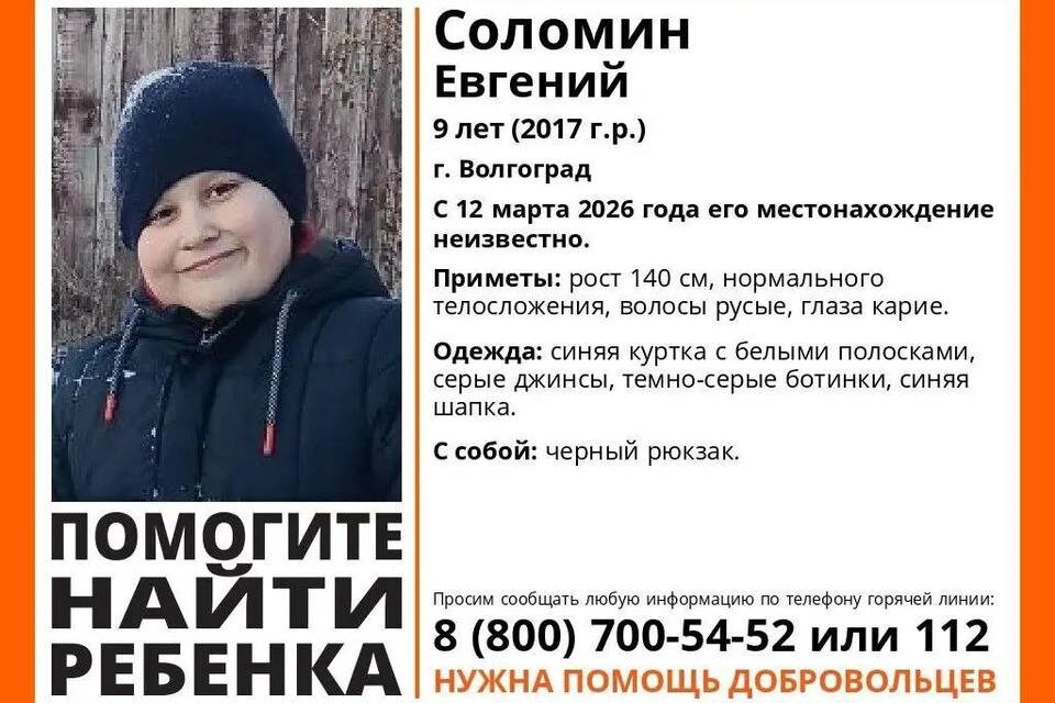    Фото: отряд "ЛизаАлерт"