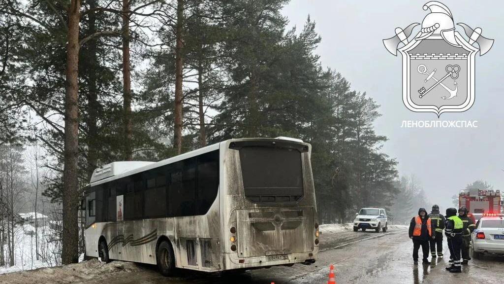    Фото: t.me/lenoblpozhspas