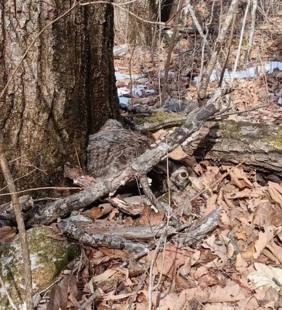    Источник фото: Илья Плотников