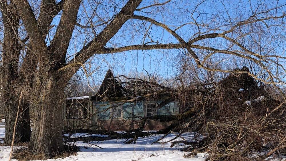    Фото: «Брянские новости»