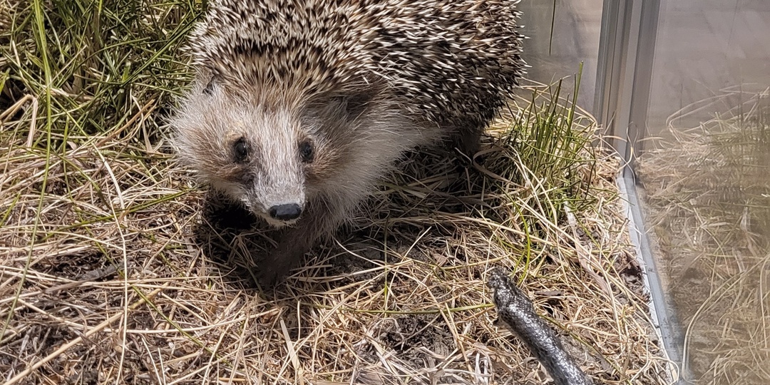 Музей природы Урала в Екатеринбурге