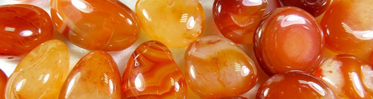 Для контактов: angelica.keiner@yandex.ru или floransia@yandex.ru