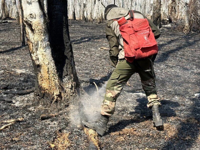   Фото: Пресс-служба правительства Забайкалья