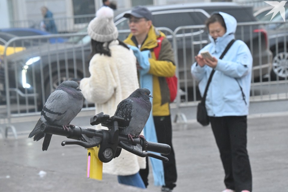    Власти Минска запретили оставлять прокатные самокаты где попало и сказали, кому запретят езду на них до конца сезона. Фото носит иллюстративный характер. Владимир ВЕЛЕНГУРИН