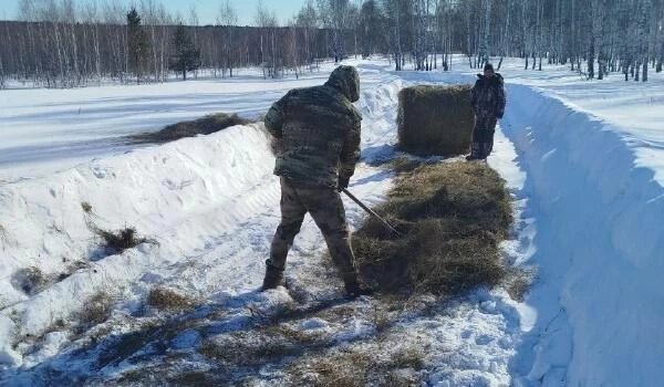 Фото: Министерство экологии Челябинской области