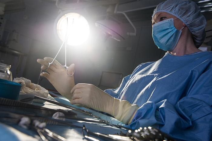 Обложка © ТАСС / Донат Сорокин