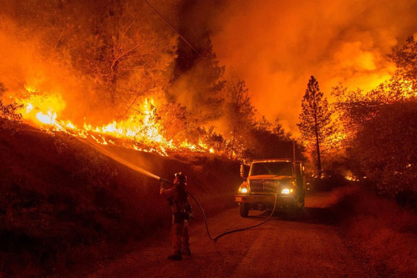    В Свердловской области запускают проект защиты населённых пунктов от лесных пожаров