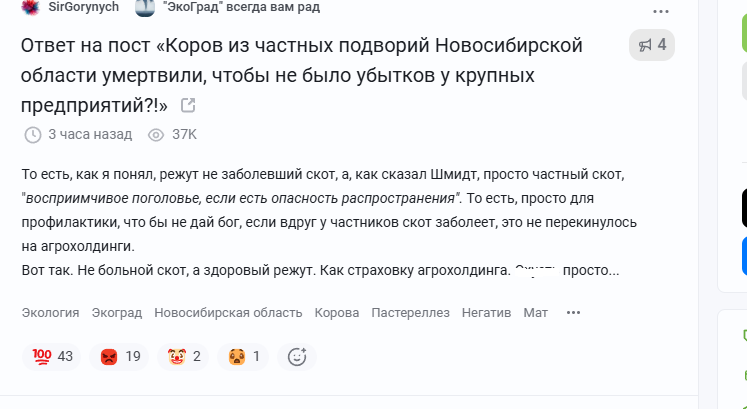 ФОТО: Скриншот поста https://pikabu.ru