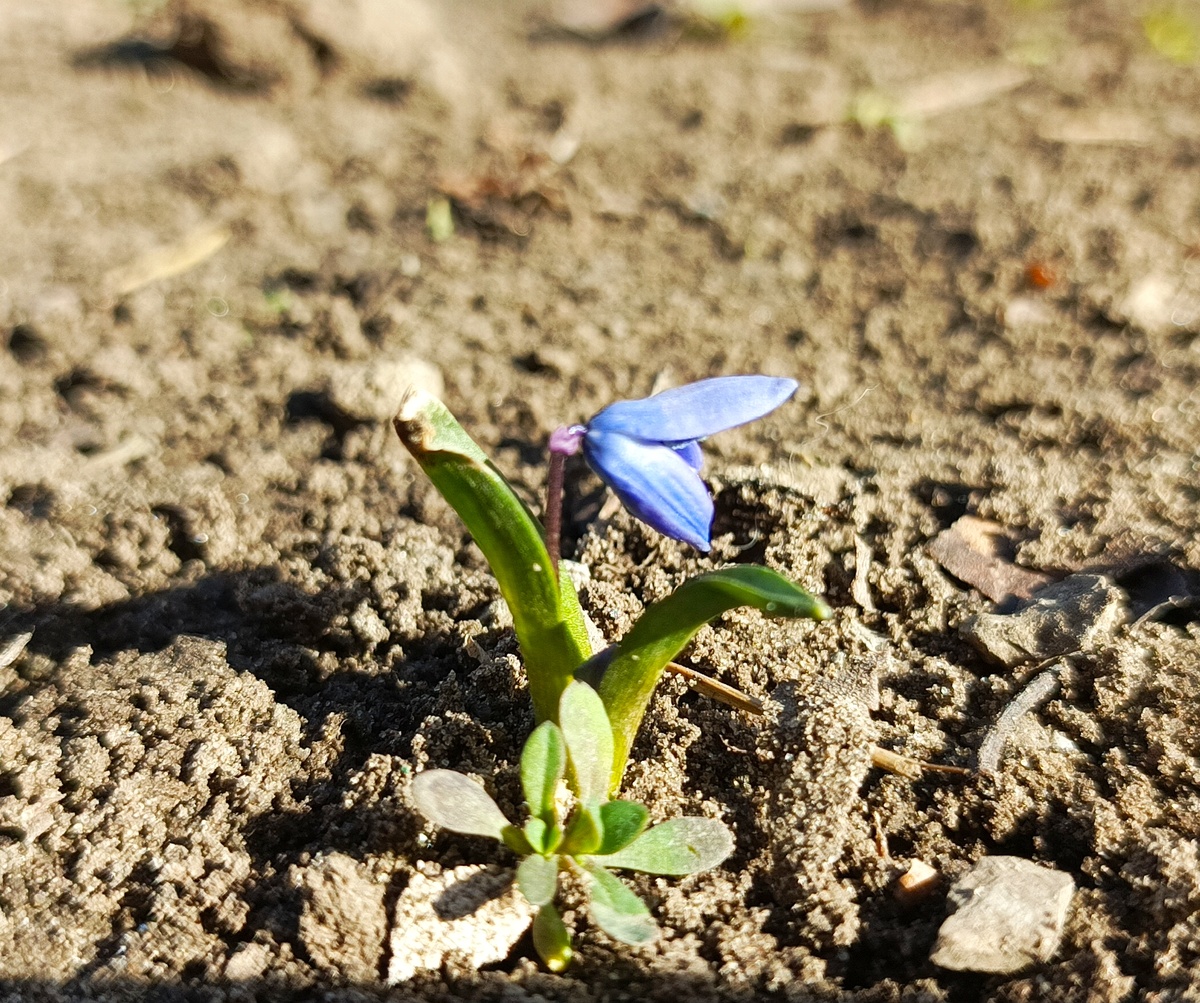 Фото из личного архива