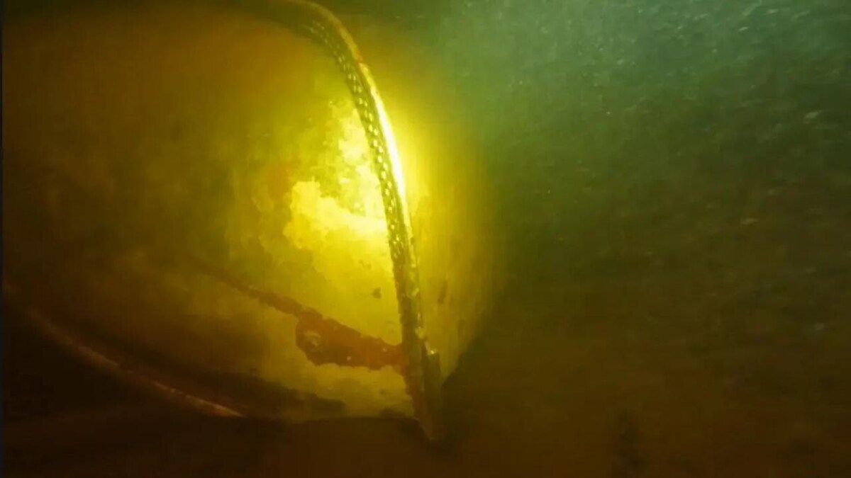    Фото: t.me/lenobladminka