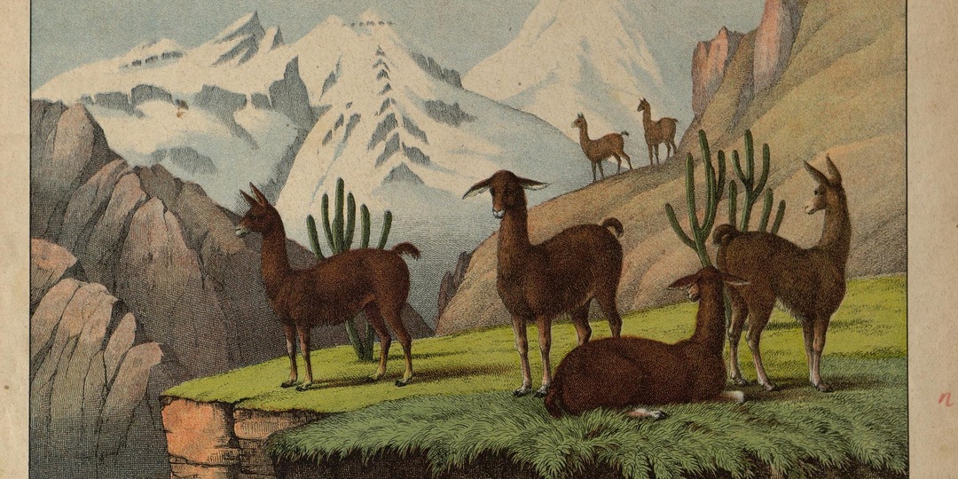 Эрмитаж × буше. Кофе в искусстве. Колумбия