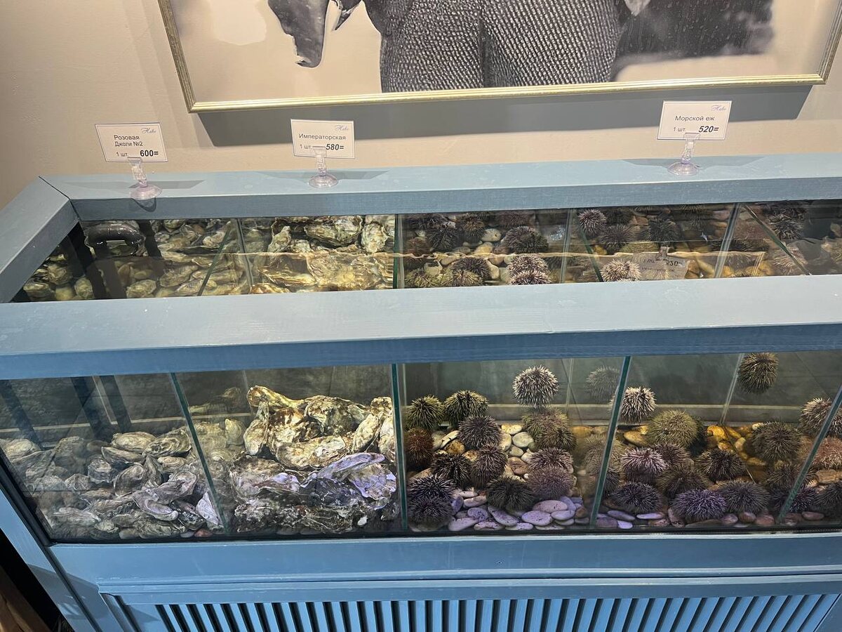 аквариум с морепродуктами