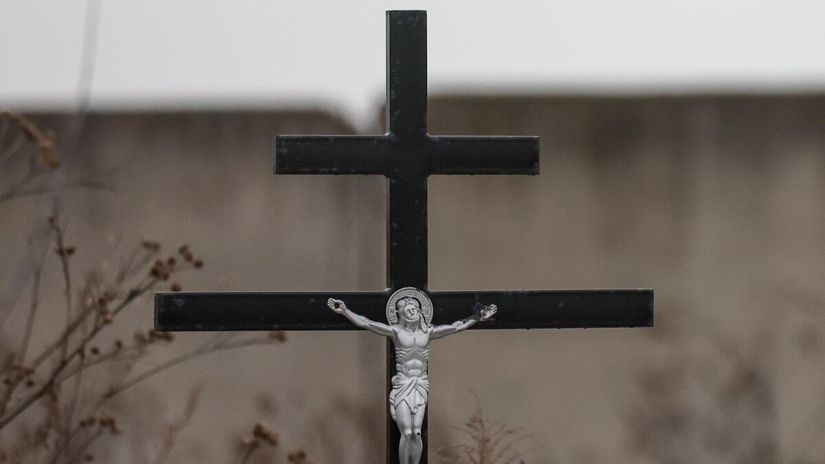    Фото: Belkin Alexey/globallookpress.com