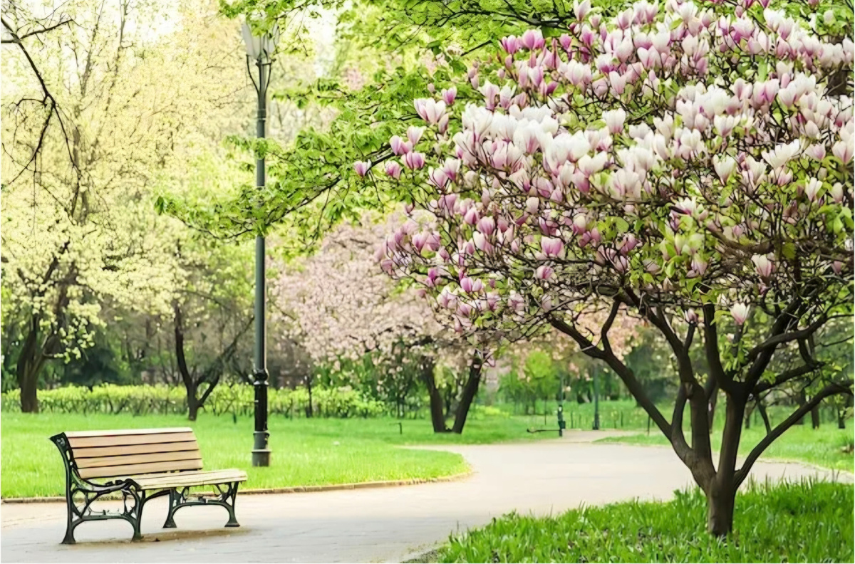 Из открытых источников