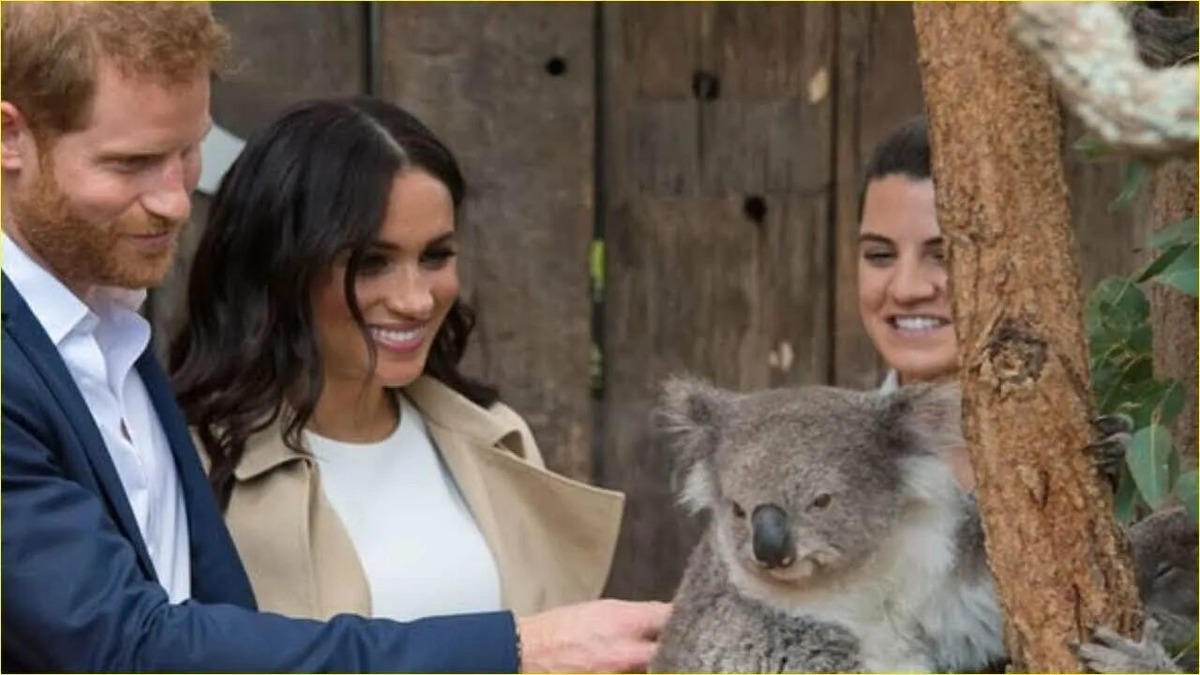 Гарри и Меган в Австралии в 2018-м https://www.youtube.com/watch?v=nsZPfjVTq28