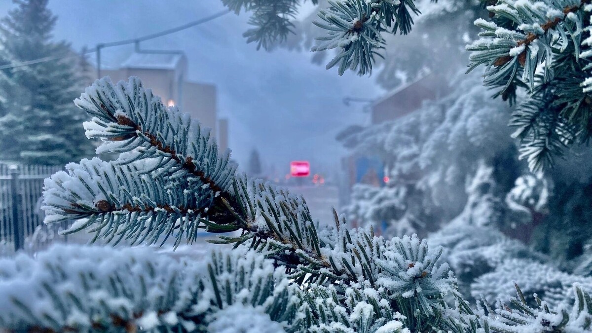   Юлия Литвиненко / mkset.ru