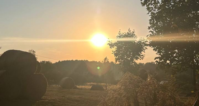    Первый городской канал Калининград