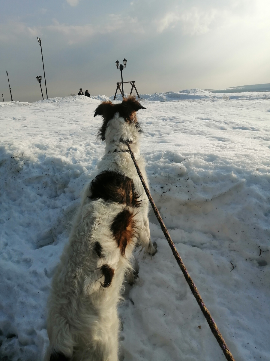 Сегодня. "Белое безмолвие", начинающее таять