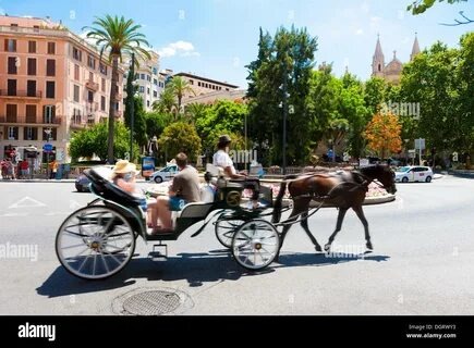 Катание туристов