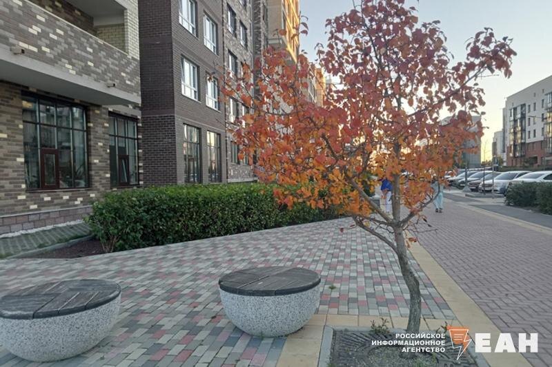    Фото ЕАН / Солнечный