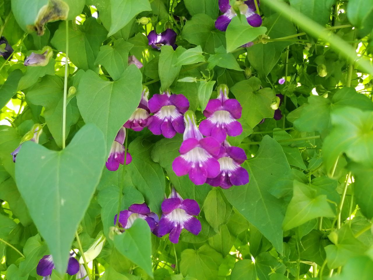 Все фото в статье мои 