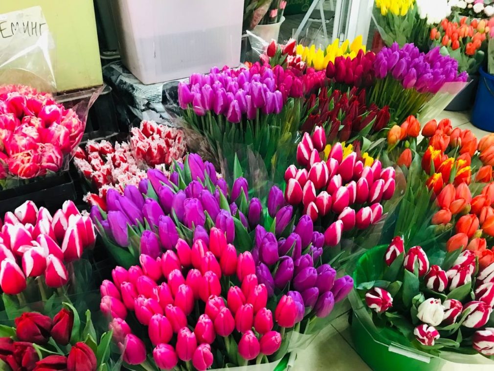    Фото: "СвоёТВ" Елена Гаврина