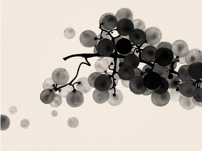 Еще раз про Рислинг