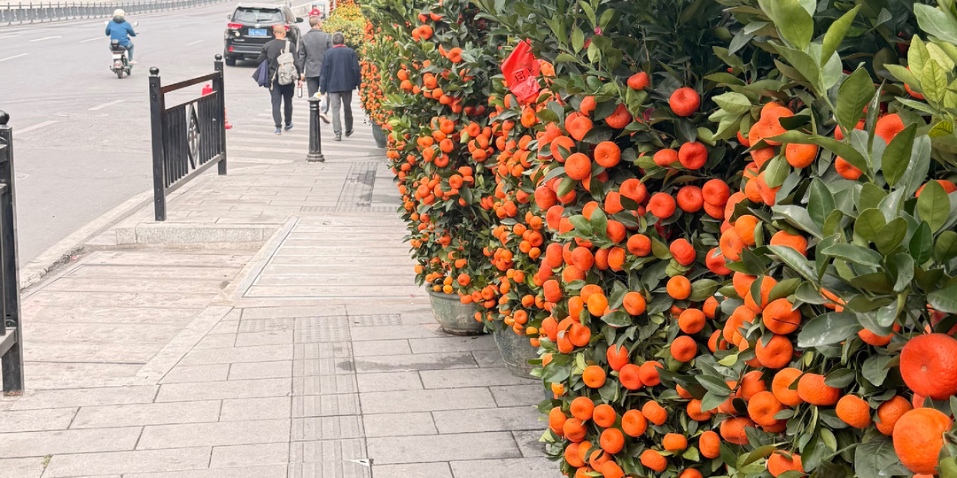 Китай: контрасты, Праздник Весны и новая лимитка Sea-Gull с House of Time