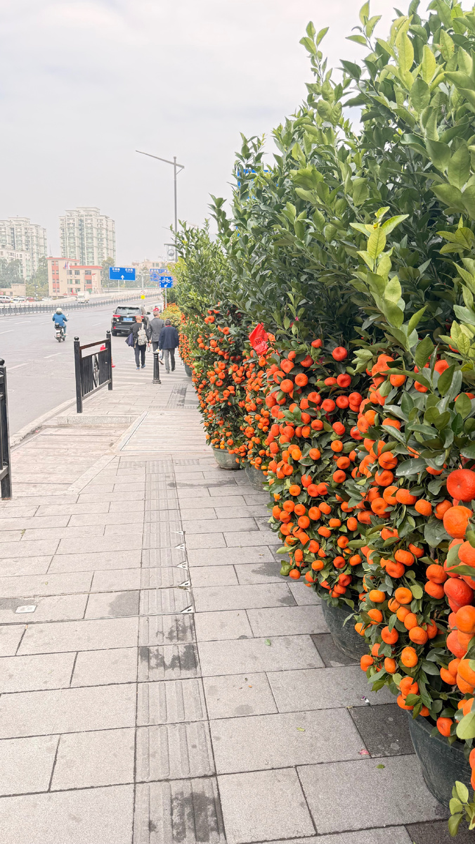 Мандарины на улицах